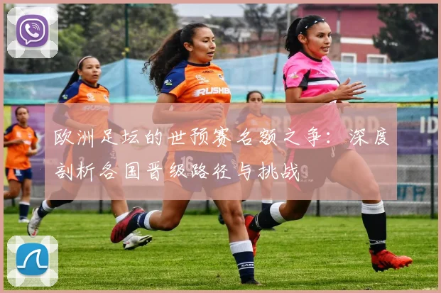 欧洲足坛的世预赛名额之争:深度剖析各国晋级路径与挑战