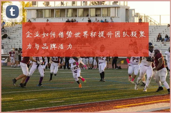 企业如何借势世界杯提升团队凝聚力与品牌活力