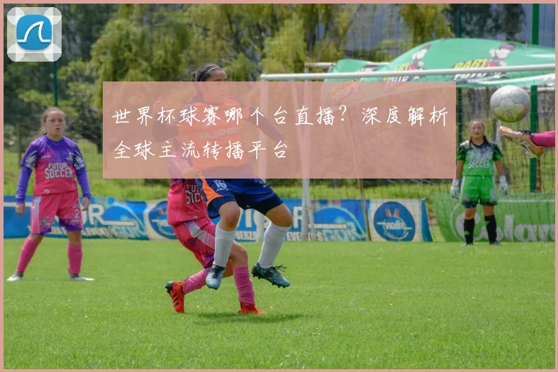 世界杯球赛哪个台直播?深度解析全球主流转播平台