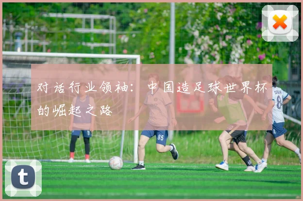 对话行业领袖：中国造足球世界杯的崛起之路