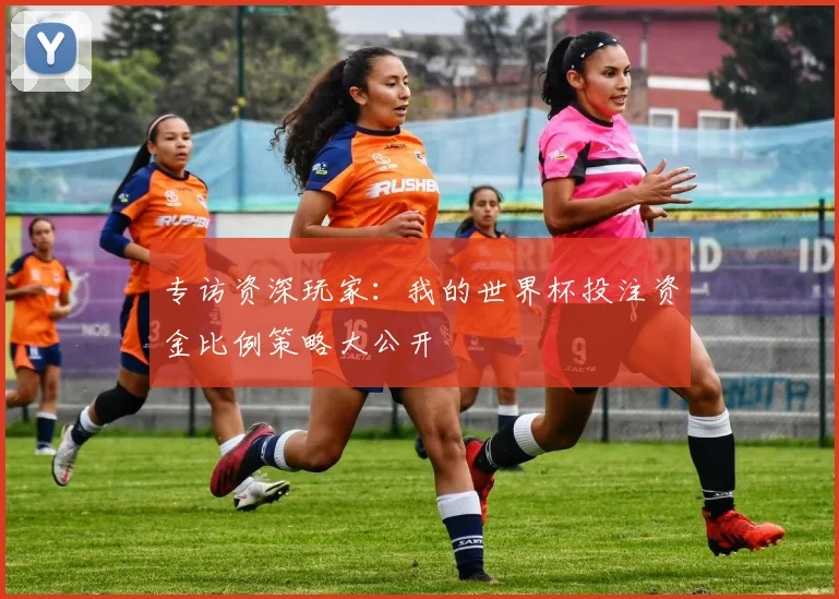 专访资深玩家：我的世界杯投注资金比例策略大公开