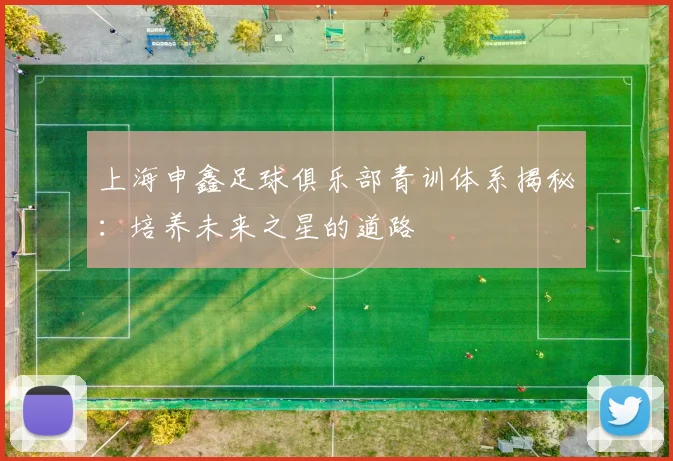 上海申鑫足球俱乐部青训体系揭秘:培养未来之星的道路